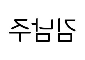 KPOP Apink(에이핑크、エーピンク) 김남주 (キム・ナムジュ) コンサート用　応援ボード・うちわ　韓国語/ハングル文字型紙 左右反転