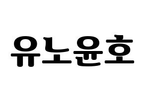 KPOP TVXQ(동방신기、東方神起) 유노윤호 (ユンホ) コンサート用　応援ボード・うちわ　韓国語/ハングル文字型紙 通常