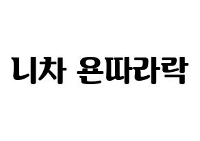 KPOP (G)I-DLE((여자)아이들、(ヨジャ)アイドゥル) 민니 (ミンニ) コンサート用　応援ボード・うちわ　韓国語/ハングル文字型紙 通常