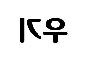 KPOP (G)I-DLE((여자)아이들、(ヨジャ)アイドゥル) 우기 (ウギ) コンサート用　応援ボード・うちわ　韓国語/ハングル文字型紙 左右反転