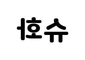 KPOP (G)I-DLE((여자)아이들、(ヨジャ)アイドゥル) 슈화 (シュファ) 応援ボード・うちわ　韓国語/ハングル文字型紙 左右反転