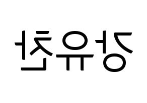 KPOP A.C.E(에이스、エース) 찬 (チャン) コンサート用　応援ボード・うちわ　韓国語/ハングル文字型紙 左右反転