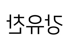 KPOP A.C.E(에이스、エース) 찬 (チャン) プリント用応援ボード型紙、うちわ型紙　韓国語/ハングル文字型紙 左右反転