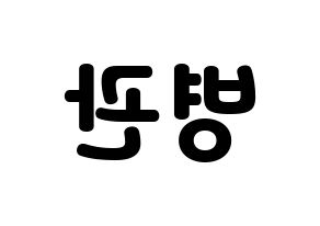 KPOP A.C.E(에이스、エース) 김병관 (キム・ビョングァン) 応援ボード・うちわ　韓国語/ハングル文字型紙 左右反転