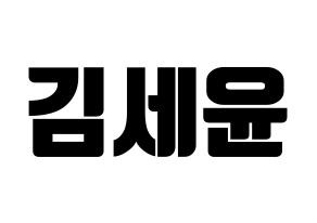 KPOP A.C.E(에이스、エース) 와우 (ワウ) コンサート用　応援ボード・うちわ　韓国語/ハングル文字型紙 通常