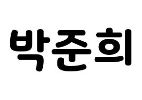 KPOP A.C.E(에이스、エース) 준 (ジュン) 応援ボード・うちわ　韓国語/ハングル文字型紙 通常