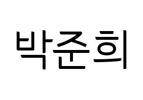 KPOP A.C.E(에이스、エース) 준 (ジュン) コンサート用　応援ボード・うちわ　韓国語/ハングル文字型紙 通常