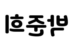 KPOP A.C.E(에이스、エース) 준 (ジュン) 応援ボード・うちわ　韓国語/ハングル文字型紙 左右反転