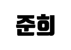 KPOP A.C.E(에이스、エース) 준 (ジュン) コンサート用　応援ボード・うちわ　韓国語/ハングル文字型紙 通常