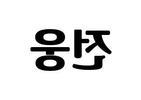 KPOP AB6IX(에이비식스、エイビーシックス) 웅 (ウン) コンサート用　応援ボード・うちわ　韓国語/ハングル文字型紙 左右反転
