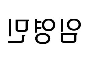 KPOP AB6IX(에이비식스、エイビーシックス) 영민 (ヨンミン) プリント用応援ボード型紙、うちわ型紙　韓国語/ハングル文字型紙 左右反転