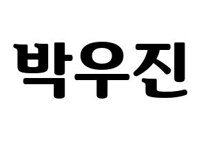 KPOP AB6IX(에이비식스、エイビーシックス) 우진 (ウジン) コンサート用　応援ボード・うちわ　韓国語/ハングル文字型紙 通常