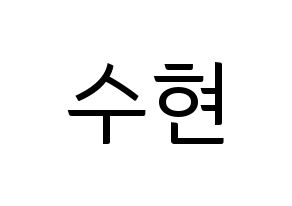 KPOP AKMU(악동뮤지션、アクドンミュージシャン) 이수현 (イ・スヒョン) コンサート用　応援ボード・うちわ　韓国語/ハングル文字型紙 通常