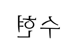 KPOP AKMU(악동뮤지션、アクドンミュージシャン) 이수현 (イ・スヒョン) 応援ボード・うちわ　韓国語/ハングル文字型紙 左右反転