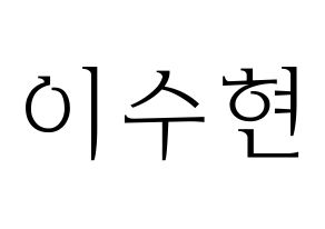 KPOP AKMU(악동뮤지션、アクドンミュージシャン) 이수현 (イ・スヒョン) 応援ボード・うちわ　韓国語/ハングル文字型紙 通常