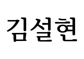KPOP AOA(에이오에이、エイオーエイ) 설현 (ソリョン) プリント用応援ボード型紙、うちわ型紙　韓国語/ハングル文字型紙 通常