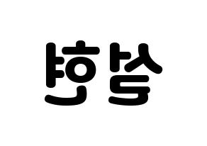 KPOP AOA(에이오에이、エイオーエイ) 설현 (ソリョン) 応援ボード・うちわ　韓国語/ハングル文字型紙 左右反転