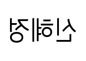 KPOP AOA(에이오에이、エイオーエイ) 혜정 (ヘジョン) コンサート用　応援ボード・うちわ　韓国語/ハングル文字型紙 左右反転