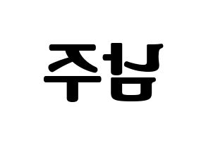 KPOP Apink(에이핑크、エーピンク) 김남주 (キム・ナムジュ) コンサート用　応援ボード・うちわ　韓国語/ハングル文字型紙 左右反転