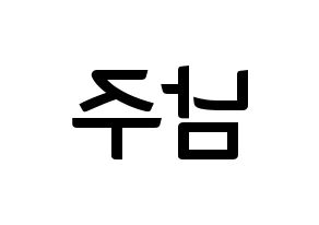 KPOP Apink(에이핑크、エーピンク) 김남주 (キム・ナムジュ) k-pop アイドル名前 ファンサボード 型紙 左右反転