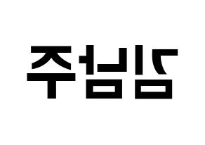 KPOP Apink(에이핑크、エーピンク) 김남주 (キム・ナムジュ) k-pop アイドル名前 ファンサボード 型紙 左右反転