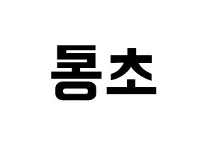KPOP Apink(에이핑크、エーピンク) 박초롱 (パク・チョロン) k-pop アイドル名前 ファンサボード 型紙 左右反転