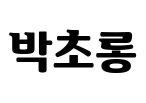 KPOP Apink(에이핑크、エーピンク) 박초롱 (パク・チョロン) コンサート用　応援ボード・うちわ　韓国語/ハングル文字型紙 通常