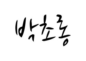KPOP Apink(에이핑크、エーピンク) 박초롱 (パク・チョロン) k-pop 応援ボード メッセージ 型紙 通常