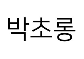 KPOP Apink(에이핑크、エーピンク) 박초롱 (パク・チョロン) プリント用応援ボード型紙、うちわ型紙　韓国語/ハングル文字型紙 通常