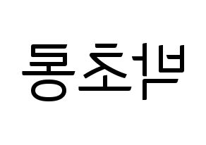 KPOP Apink(에이핑크、エーピンク) 박초롱 (パク・チョロン) コンサート用　応援ボード・うちわ　韓国語/ハングル文字型紙 左右反転