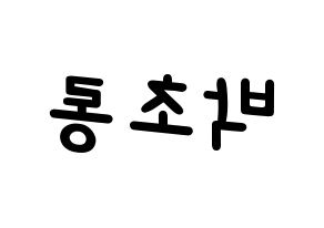 KPOP Apink(에이핑크、エーピンク) 박초롱 (パク・チョロン) 名前 応援ボード 作り方 左右反転