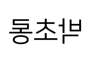 KPOP Apink(에이핑크、エーピンク) 박초롱 (パク・チョロン) プリント用応援ボード型紙、うちわ型紙　韓国語/ハングル文字型紙 左右反転