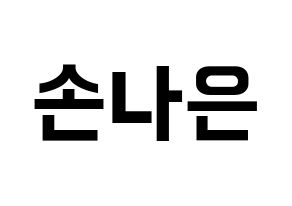 KPOP Apink(에이핑크、エーピンク) 손나은 (ソン・ナウン) k-pop アイドル名前 ファンサボード 型紙 通常
