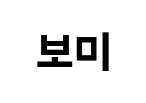KPOP Apink(에이핑크、エーピンク) 윤보미 (ユン・ボミ) k-pop アイドル名前 ファンサボード 型紙 通常