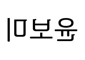 KPOP Apink(에이핑크、エーピンク) 윤보미 (ユン・ボミ) プリント用応援ボード型紙、うちわ型紙　韓国語/ハングル文字型紙 左右反転