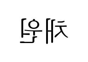 KPOP APRIL(에이프릴、エイプリル) 김채원 (チェウォン) 応援ボード・うちわ　韓国語/ハングル文字型紙 左右反転