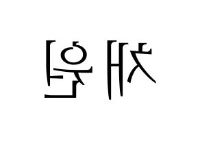 KPOP APRIL(에이프릴、エイプリル) 김채원 (チェウォン) 応援ボード・うちわ　韓国語/ハングル文字型紙 左右反転