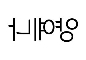 KPOP APRIL(에이프릴、エイプリル) 양예나 (イェナ) コンサート用　応援ボード・うちわ　韓国語/ハングル文字型紙 左右反転