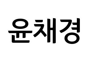 KPOP APRIL(에이프릴、エイプリル) 윤채경 (チェギョン) k-pop アイドル名前 ファンサボード 型紙 通常