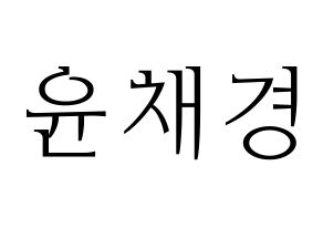 KPOP APRIL(에이프릴、エイプリル) 윤채경 (チェギョン) 応援ボード・うちわ　韓国語/ハングル文字型紙 通常