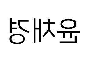 KPOP APRIL(에이프릴、エイプリル) 윤채경 (チェギョン) プリント用応援ボード型紙、うちわ型紙　韓国語/ハングル文字型紙 左右反転