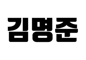 KPOP ASTRO(아스트로、アストロ) MJ (MJ) コンサート用　応援ボード・うちわ　韓国語/ハングル文字型紙 通常