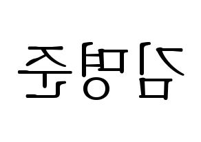 KPOP ASTRO(아스트로、アストロ) MJ (MJ) 応援ボード・うちわ　韓国語/ハングル文字型紙 左右反転