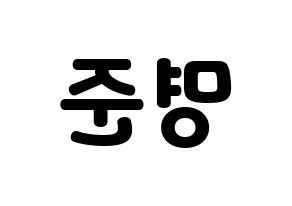 KPOP ASTRO(아스트로、アストロ) MJ (MJ) 応援ボード・うちわ　韓国語/ハングル文字型紙 左右反転