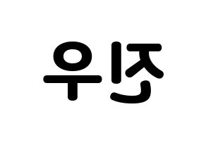 KPOP ASTRO(아스트로、アストロ) 진진 (ジンジン) 応援ボード・うちわ　韓国語/ハングル文字型紙 左右反転