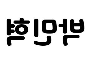 KPOP ASTRO(아스트로、アストロ) 라키 (ラキ) 応援ボード・うちわ　韓国語/ハングル文字型紙 左右反転