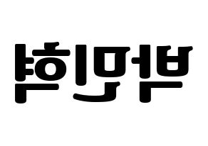 KPOP ASTRO(아스트로、アストロ) 라키 (ラキ) コンサート用　応援ボード・うちわ　韓国語/ハングル文字型紙 左右反転