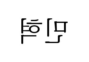 KPOP ASTRO(아스트로、アストロ) 라키 (ラキ) 応援ボード・うちわ　韓国語/ハングル文字型紙 左右反転