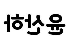 KPOP ASTRO(아스트로、アストロ) 윤산하 (ユン・サナ) 応援ボード・うちわ　韓国語/ハングル文字型紙 左右反転