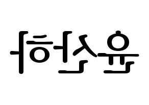 KPOP ASTRO(아스트로、アストロ) 윤산하 (ユン・サナ) プリント用応援ボード型紙、うちわ型紙　韓国語/ハングル文字型紙 左右反転